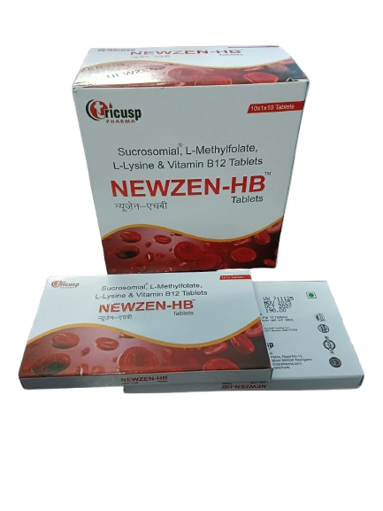 NEWZEN-HB